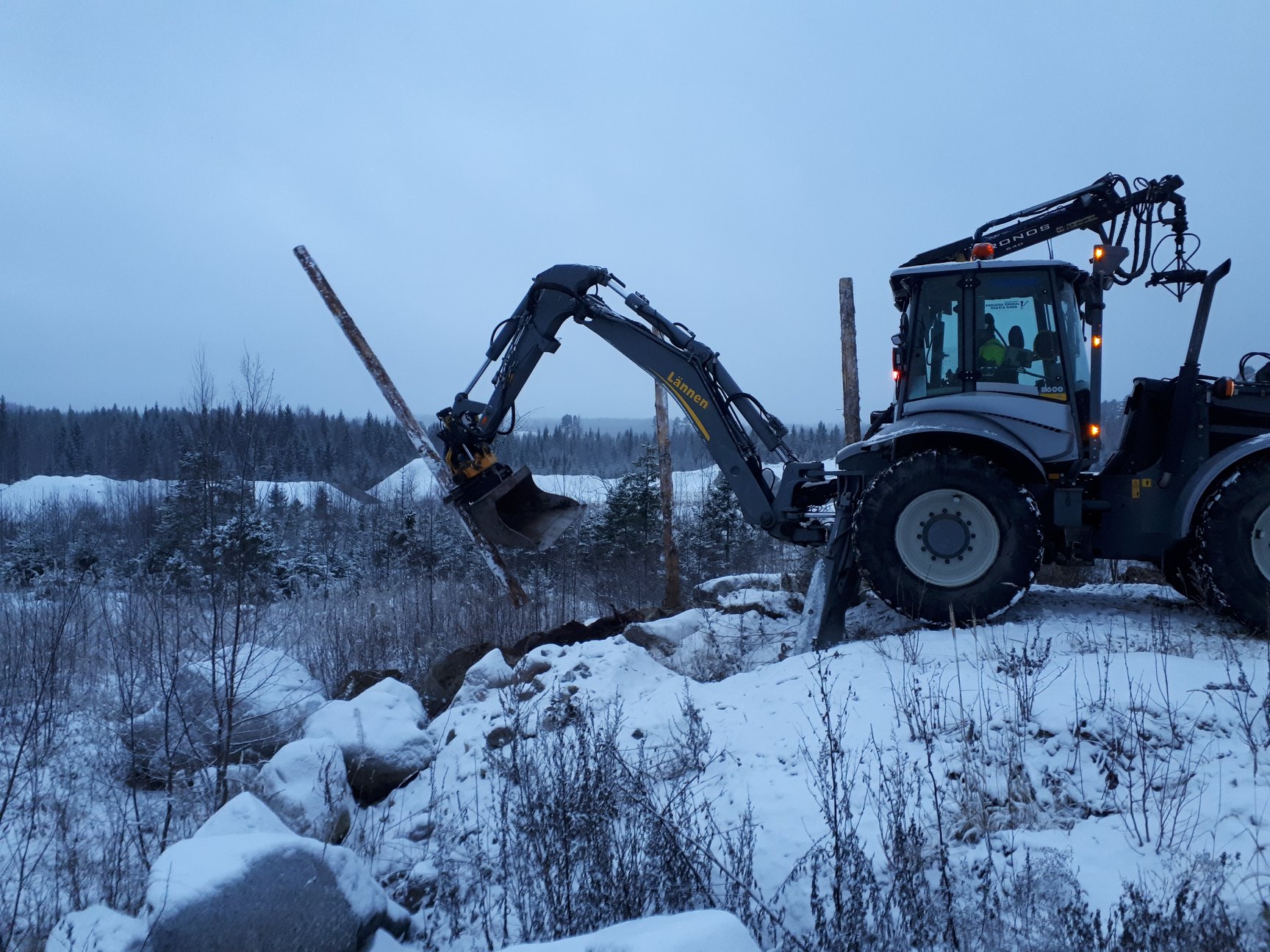 Lahhoo_puuta_Kuopio_2018.jpg